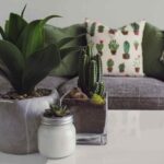 Home decor