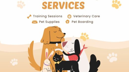 DeePet Services, pet care Delhi NCR, at-home pet care, affordable vet home visit, dog walking Delhi, cat grooming at home, pet grooming Delhi NCR, pet training Delhi, veterinary services at home, ₹499