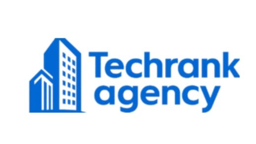 TechRank Agency, Govind Sharma, Best SEO Company in Delhi NCR, SEO Services Delhi, Google Business Profile Optimization Delhi, Local SEO Delhi NCR, Content Writing Services Delhi, Digital Marketing De